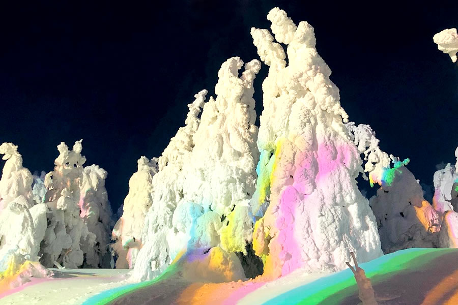 樹氷幻想回廊ツアー